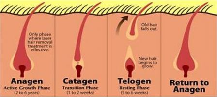 hair removal 3.jpg