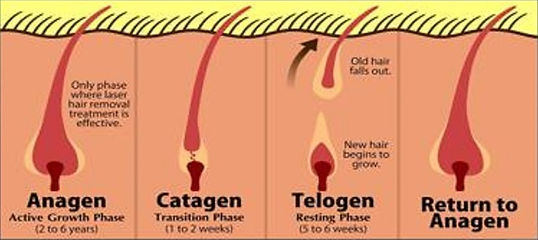 hair removal 3.jpg